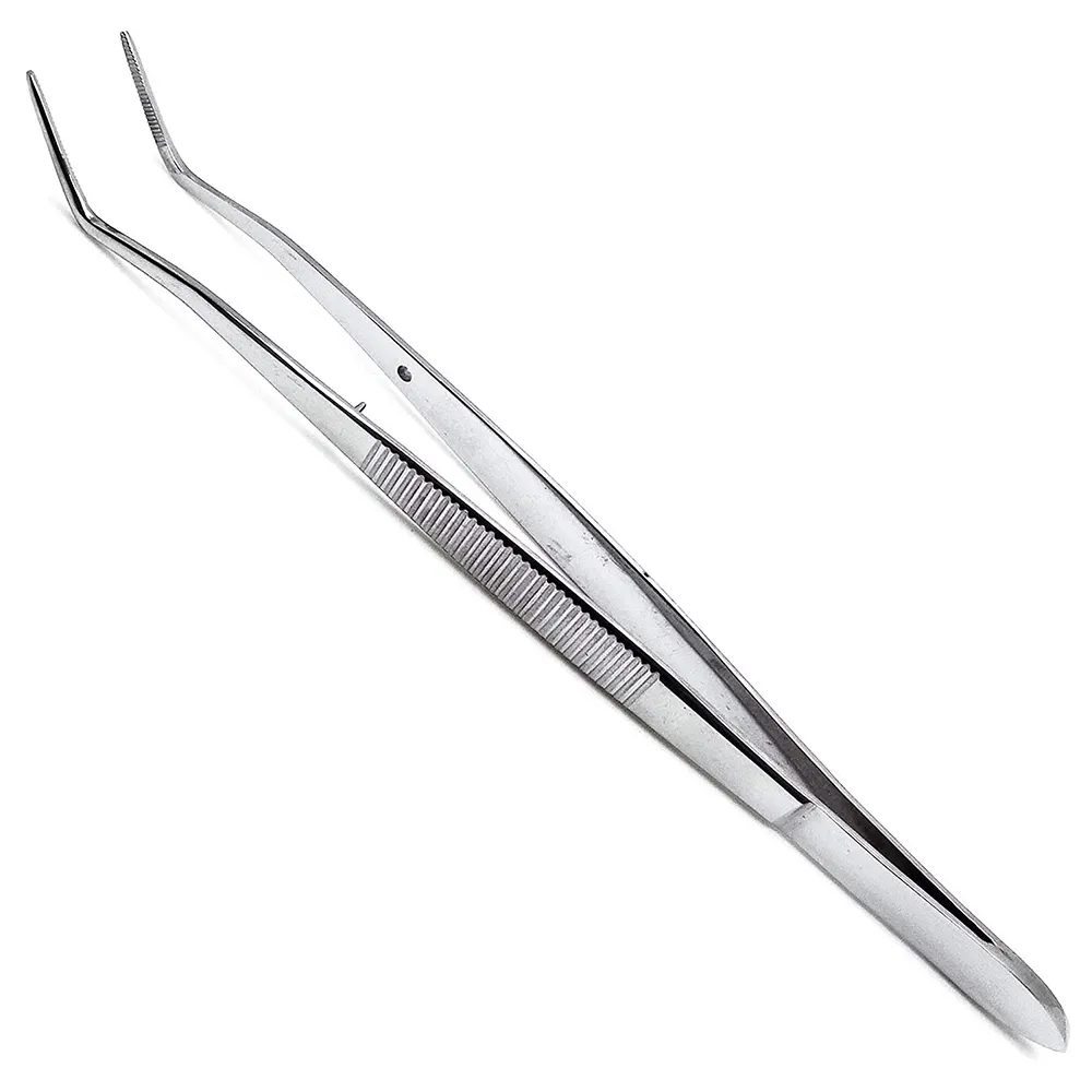Dental Tweezer Stainless Steel (Regular) thumbnail 2
